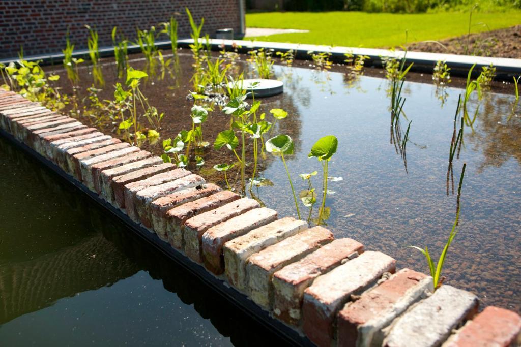 B&B De Deugdzonde Sint-Denijs Luaran gambar