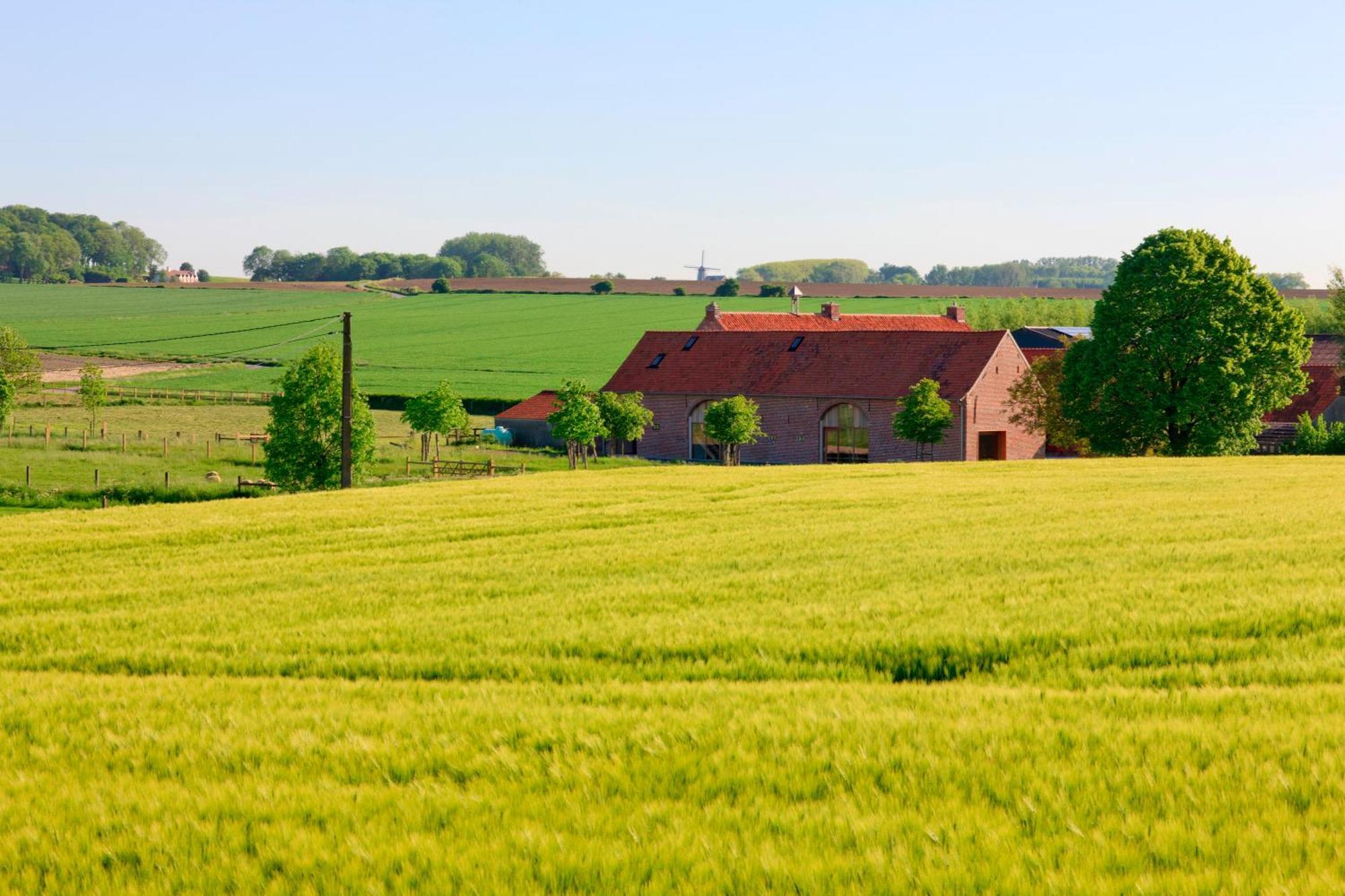 B&B De Deugdzonde Sint-Denijs Luaran gambar